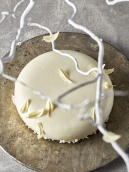 JAN C. BRETTSCHNEIDER