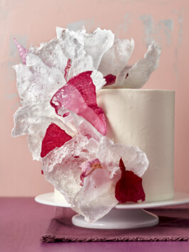 JAN C. BRETTSCHNEIDER