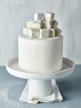 JAN C. BRETTSCHNEIDER