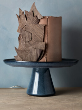 JAN C. BRETTSCHNEIDER