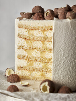 JAN C. BRETTSCHNEIDER