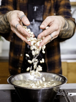 JAN C. BRETTSCHNEIDER