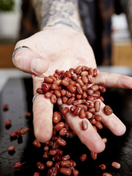 JAN C. BRETTSCHNEIDER