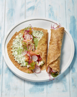 JAN C. BRETTSCHNEIDER