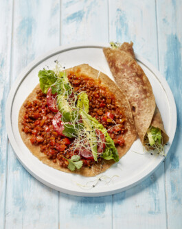 JAN C. BRETTSCHNEIDER