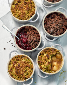 JAN C. BRETTSCHNEIDER