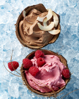 JAN C. BRETTSCHNEIDER