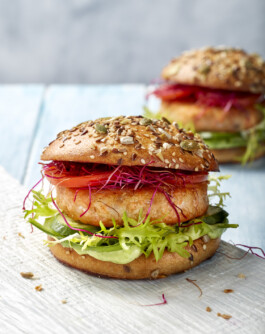 JAN C. BRETTSCHNEIDER