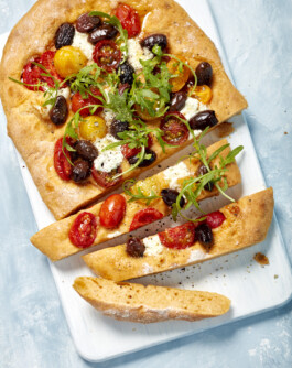 JAN C. BRETTSCHNEIDER