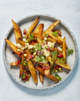 JAN C. BRETTSCHNEIDER