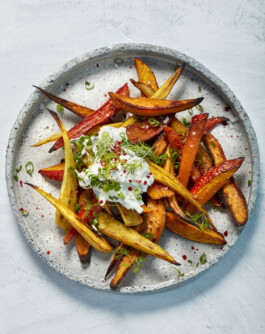 JAN C. BRETTSCHNEIDER