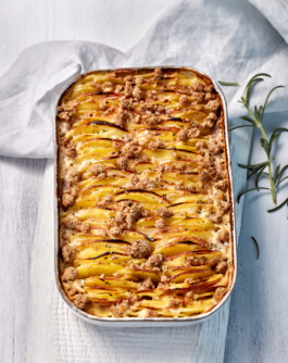 JAN C. BRETTSCHNEIDER