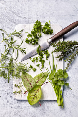 JAN C. BRETTSCHNEIDER