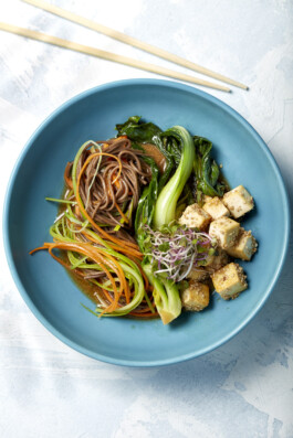 JAN C. BRETTSCHNEIDER