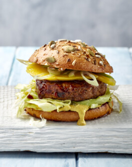 JAN C. BRETTSCHNEIDER