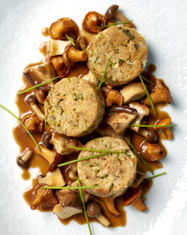 JAN C. BRETTSCHNEIDER