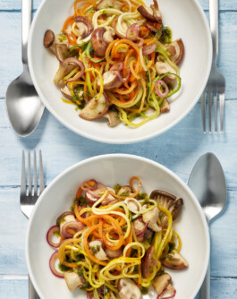 JAN C. BRETTSCHNEIDER