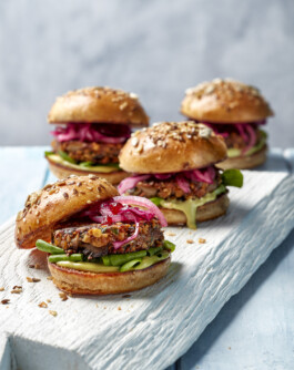 JAN C. BRETTSCHNEIDER